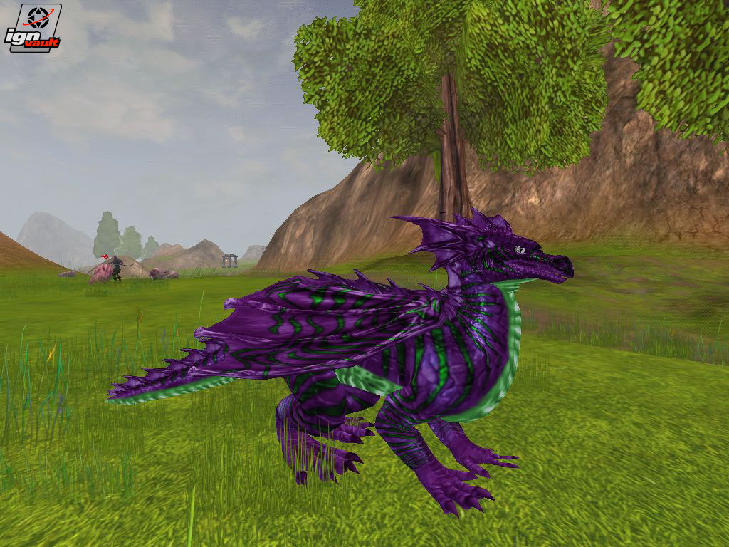 Purple dragon